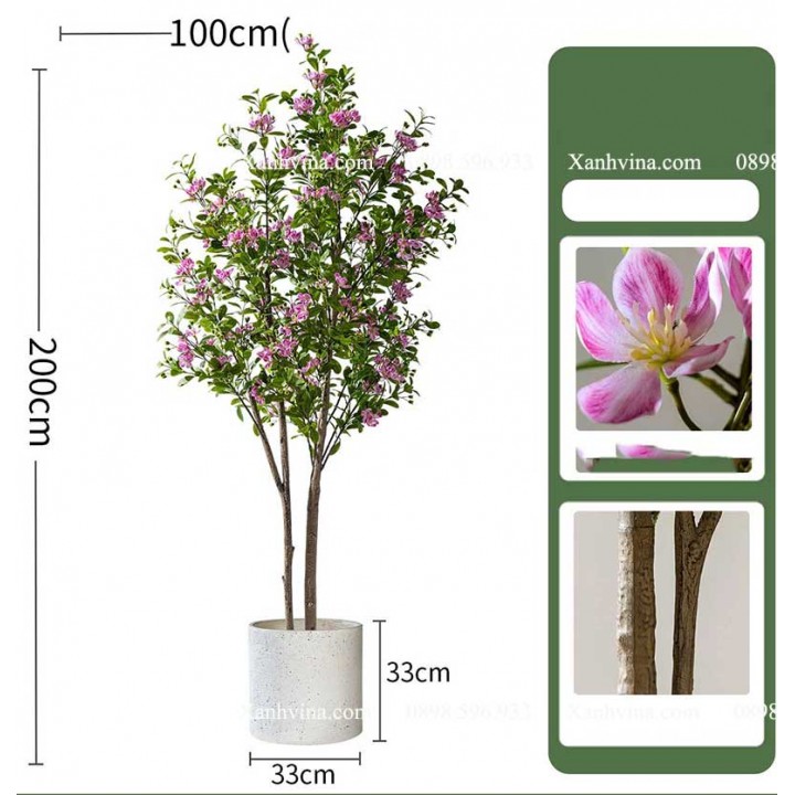 cây hoa sim giả